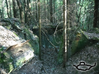tl293